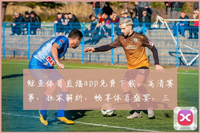 鲸鱼体育直播app免费下载，高清赛事，独家解析，畅享体育盛宴，三重福利等你来