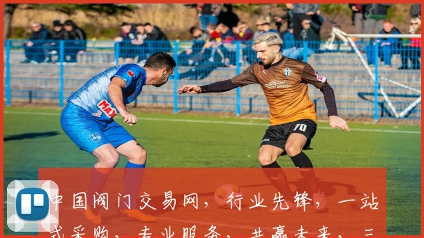 中国阀门交易网，行业先锋，一站式采购，专业服务，共赢未来，三重保障，值得信赖。