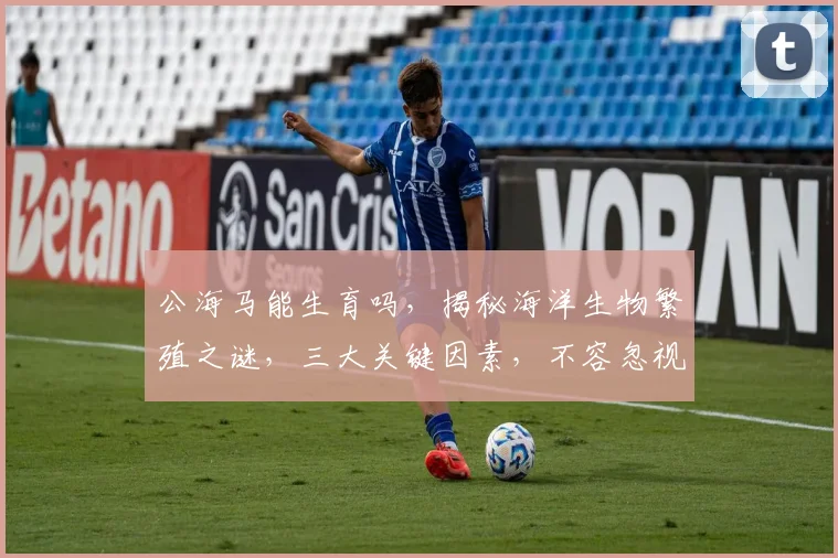 公海马能生育吗，揭秘海洋生物繁殖之谜，三大关键因素，不容忽视，引关注