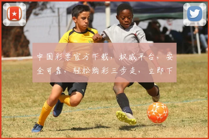 中国彩票官方下载，权威平台，安全可靠，轻松购彩三步走，立即下载体验