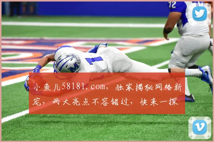 小鱼儿58181.com，独家揭秘网络新宠，两大亮点不容错过，快来一探究竟